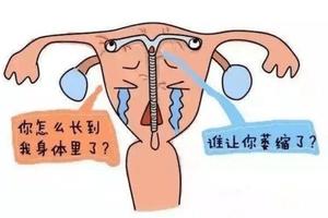 晋江取环后多久才能怀孕(请问取环多久可以怀孕)