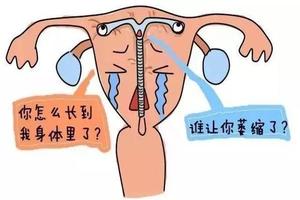 晋江取完环多久可以怀孕(取完环多久可以怀孕生孩子)