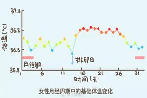 晋江人流后月经多(人流后月经多久恢复规律)